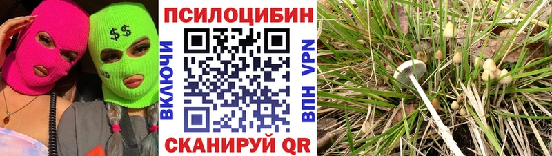 закладка даркнет телеграм Галлюциногенные грибы MAGIC MUSHROOMS Курганинск
